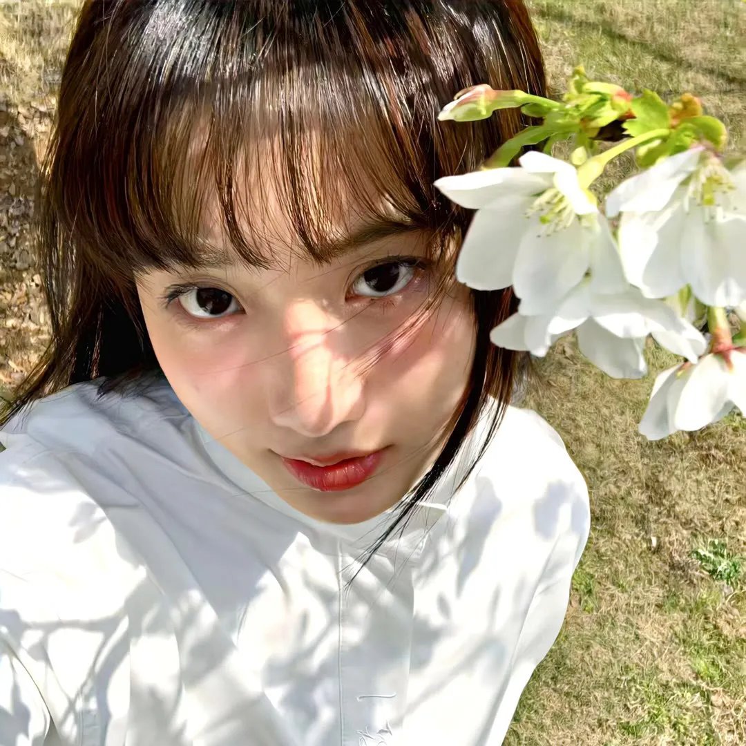 淘哥儿