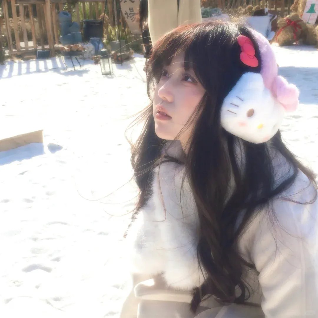 速度与激情:特工飞车手第一季